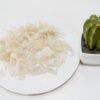 sarang-walet-kakian
