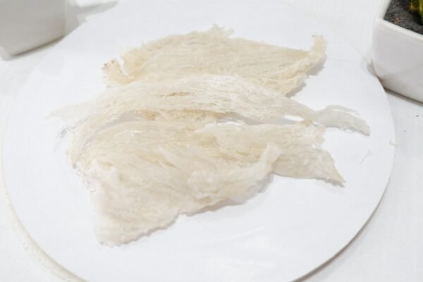 sarang-walet-patahan