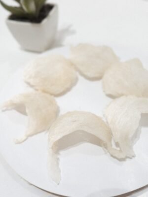 sarang-walet-segitiga-sudut